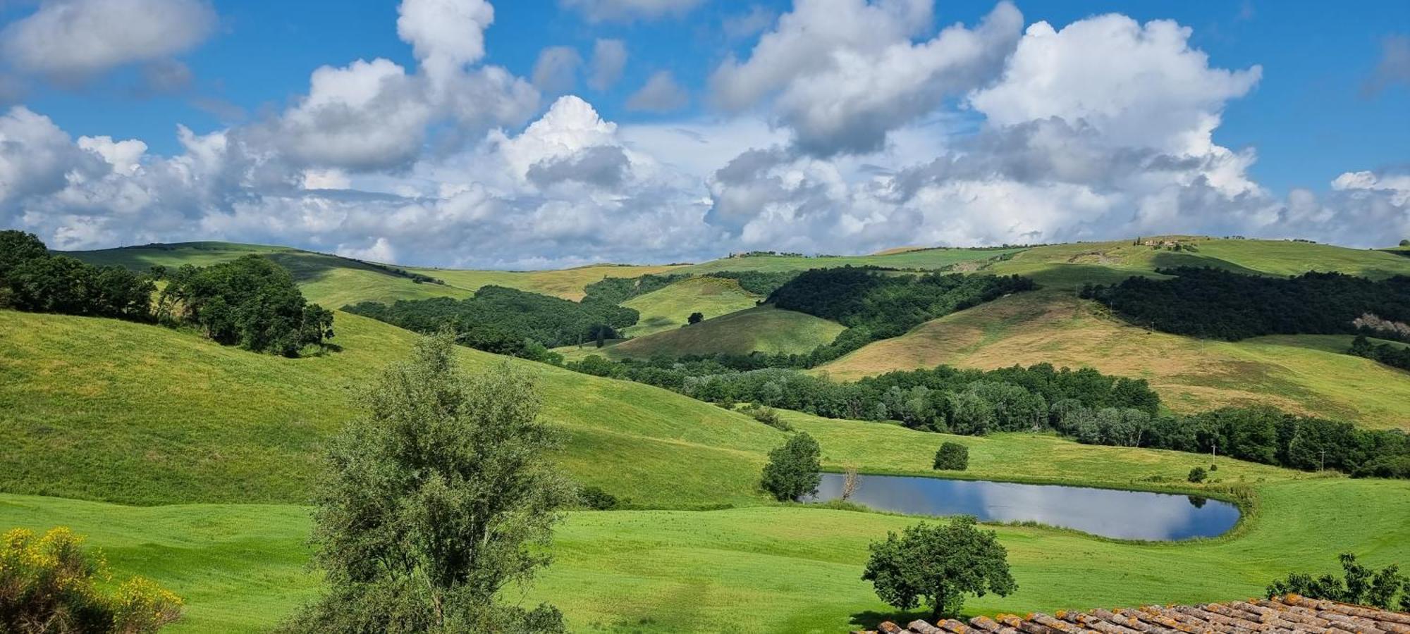 Agriturismo S. Eurosia モンタルチーノ エクステリア 写真