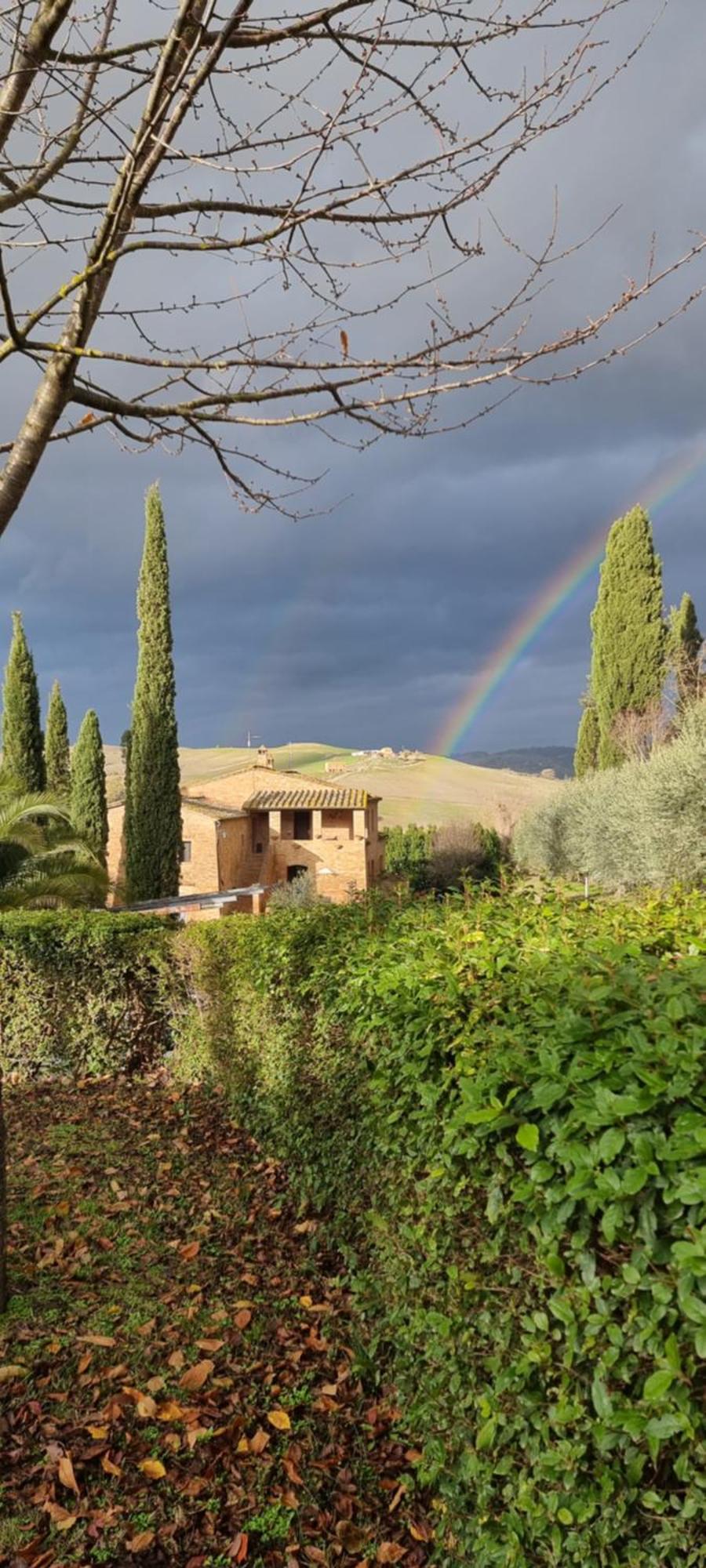 Agriturismo S. Eurosia モンタルチーノ 部屋 写真